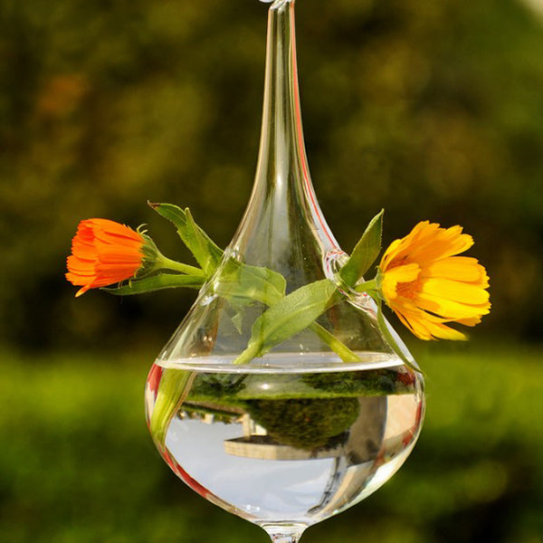 Water Drop Shape Hanging Vase