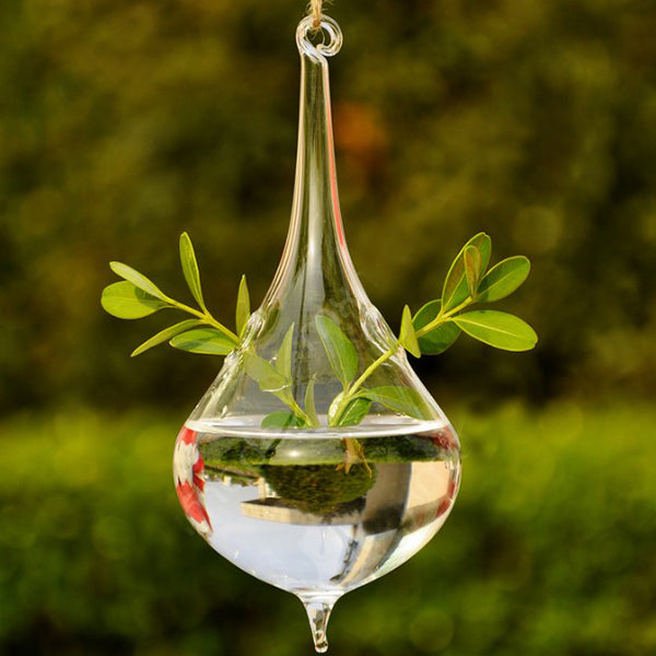 Water Drop Shape Hanging Vase