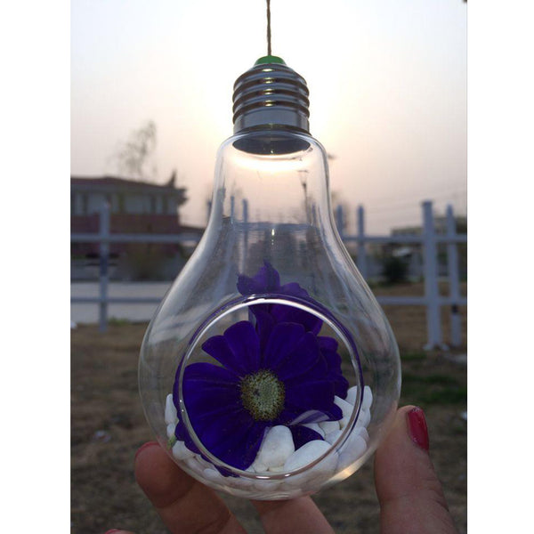 Glass Bulb Shape Hanging Vase