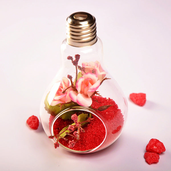 Glass Bulb Shape Hanging Vase