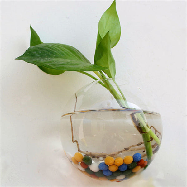 Glass Terrarium Wall Flower Pot
