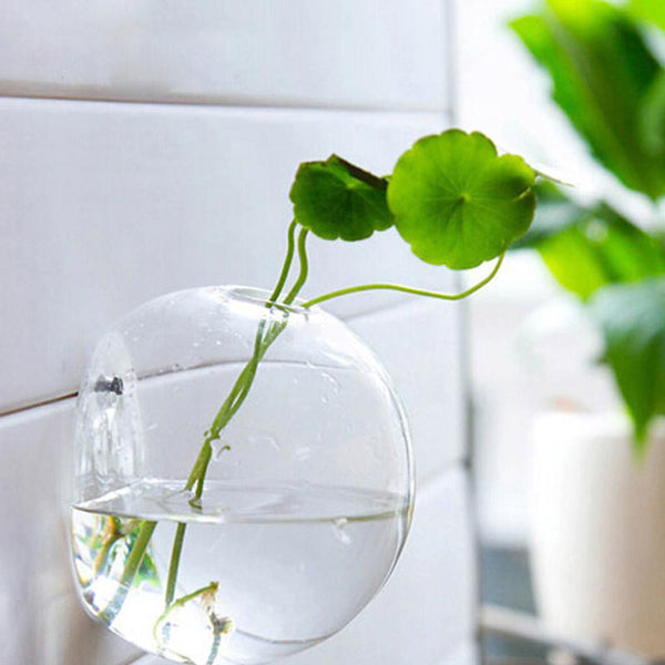 Glass Terrarium Wall Flower Pot