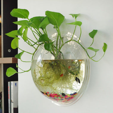 Glass Terrarium Wall Flower Pot