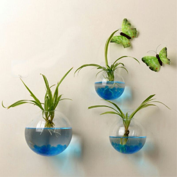 Glass Terrarium Wall Flower Pot