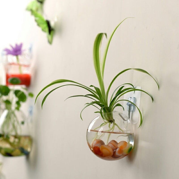 Glass Terrarium Wall Flower Pot