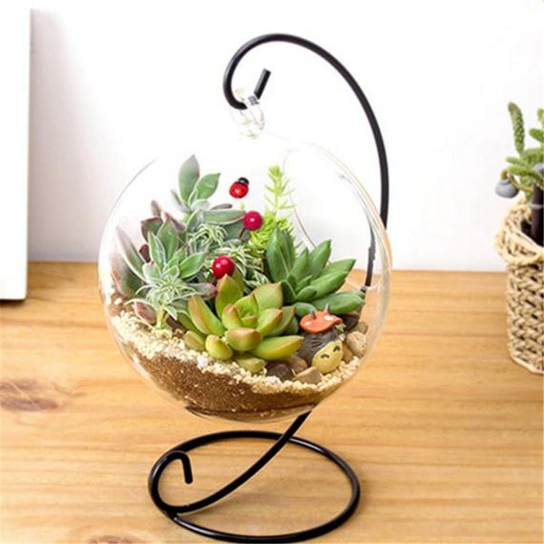 Beautiful Round Glass Flower Vase
