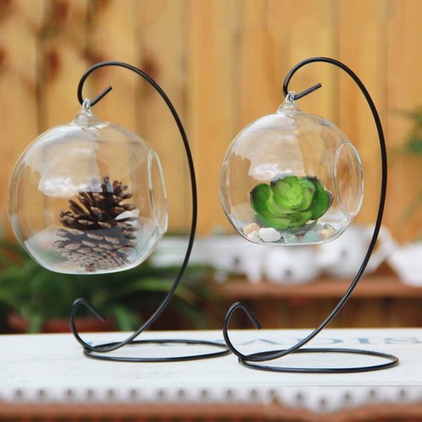 Hanging Flower Container
