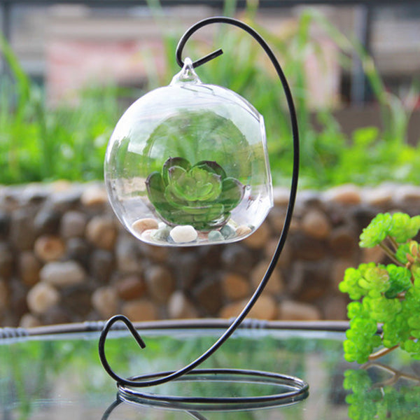 Hanging Flower Container