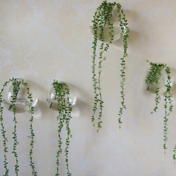 Wall/Hanging Flower Terrarium Container